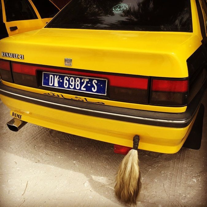 Senegal ảnh 1 Senegal anh 1