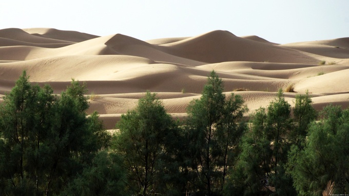 Senegal ảnh 5 Senegal anh 5