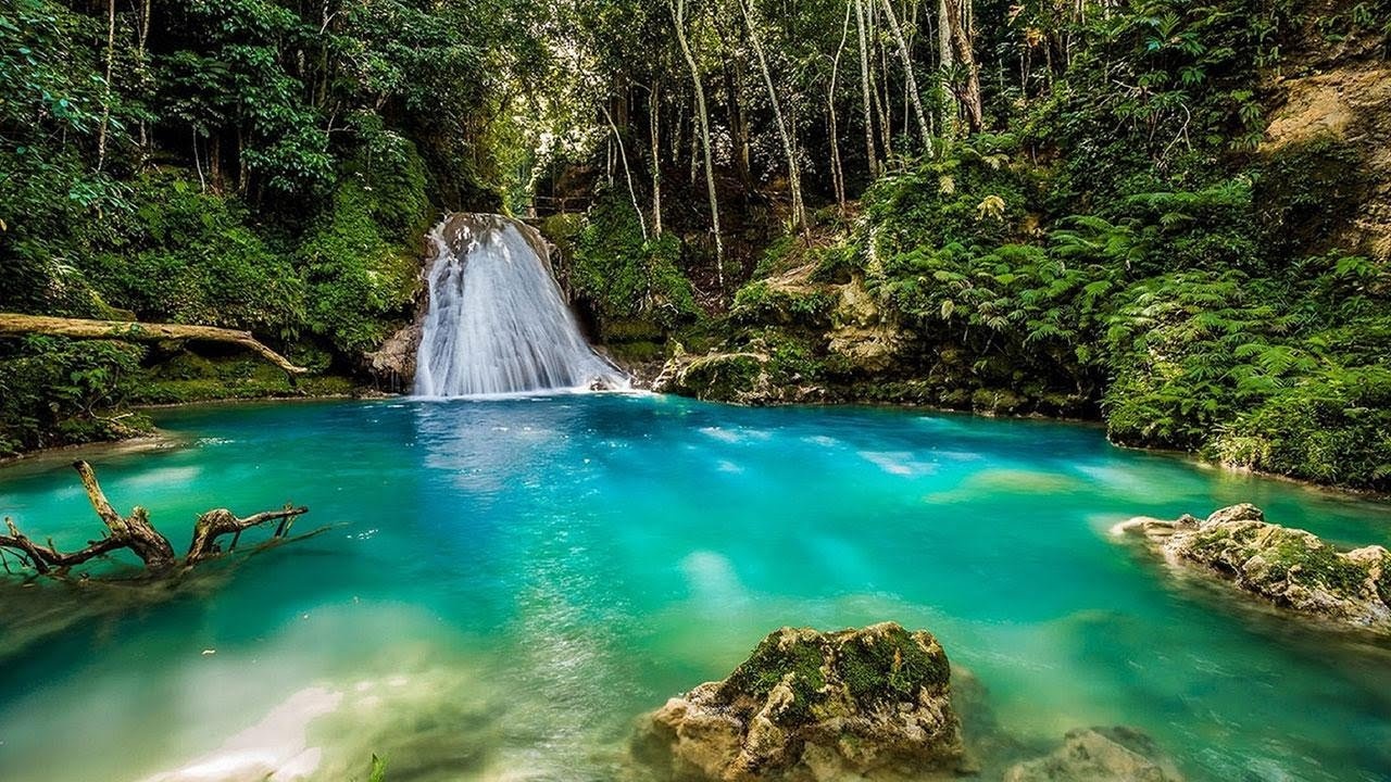 Jamaica ảnh 6 Jamaica anh 6