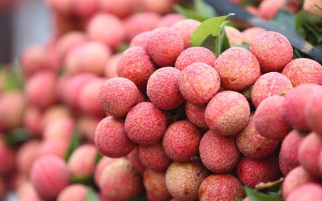 Den ba chua boi anh 7