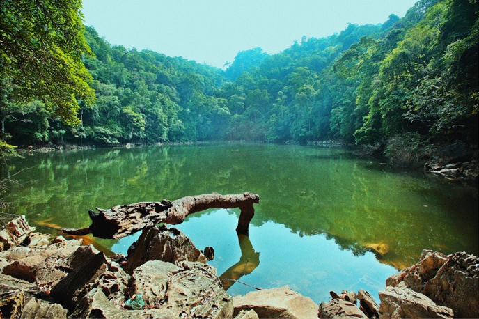 Tinh nhieu thanh pho nhat nuoc ta anh 7