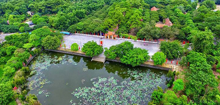 Rươi ảnh 5 Ruoi anh 5