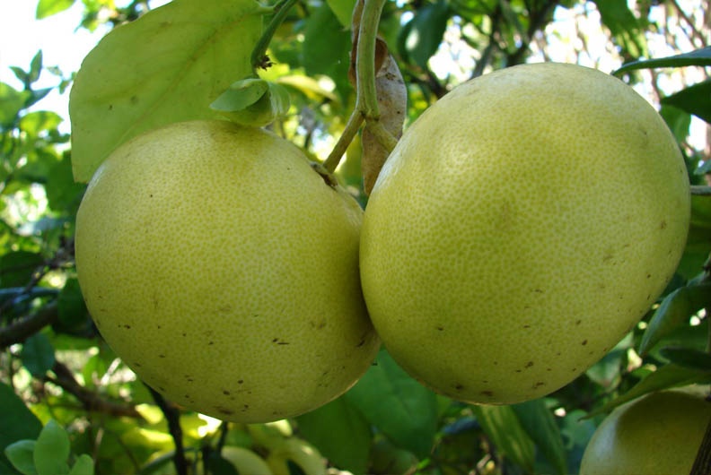 Hà Tĩnh ảnh 7 Ha Tinh anh 7