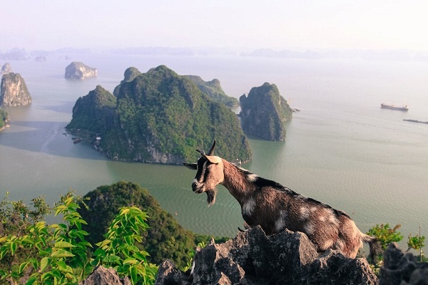 Quảng Ninh ảnh 7 Quang Ninh anh 7