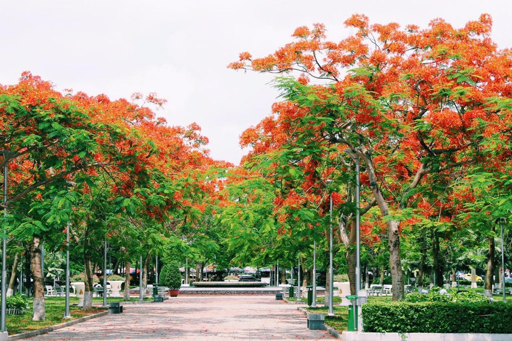Hải Phòng ảnh 6 Hai Phong anh 6