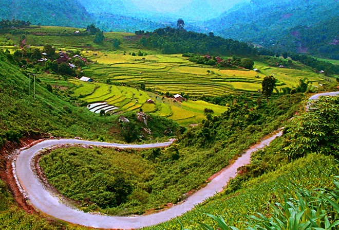 Việt Nam ảnh 2 Viet Nam anh 2