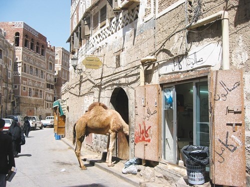 Đất nước Yemen ảnh 5 Dat nuoc Yemen anh 5