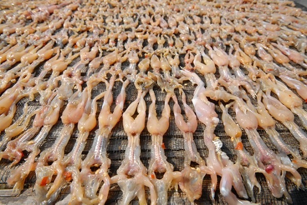 Vu nu chan dai anh 1