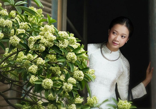 Dia phuong nao co nhieu di san UNESCO nhat Viet Nam? hinh anh