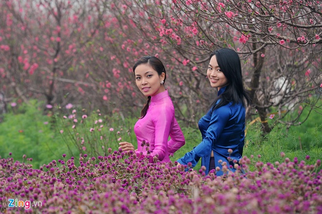 Tet Nguyen Dan anh 5