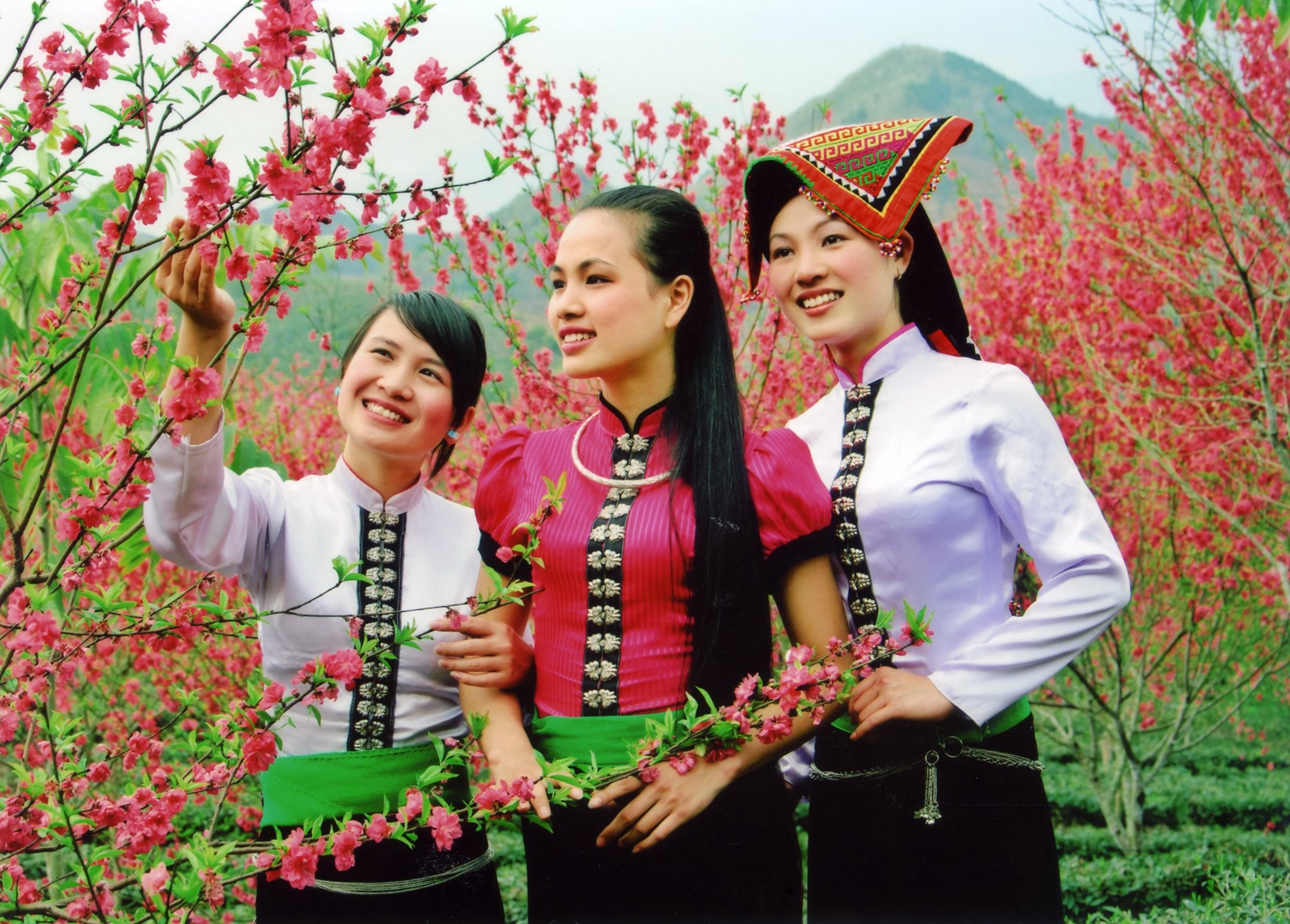 Pa pỉnh tộp ảnh 4 Pa pinh top anh 4