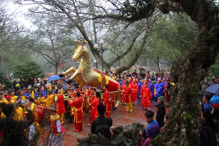 Le hoi dau nam anh 5