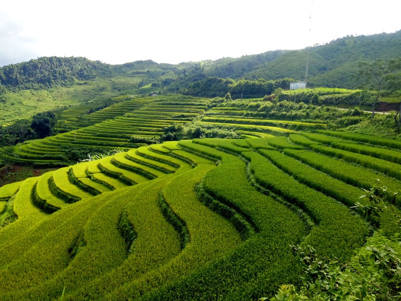 Vía thần tài ảnh 7 Via than tai anh 7