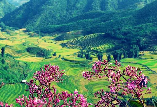 Điện Biên Phủ ảnh 4 Dien Bien Phu anh 4