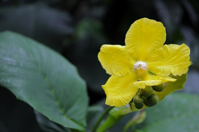 Bo luat ha khac anh 7