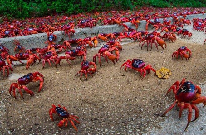 Châu Đại Dương ảnh 1 Chau Dai Duong anh 1