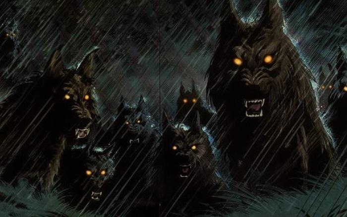 doi quan ky la cua nguoi Viet anh 1