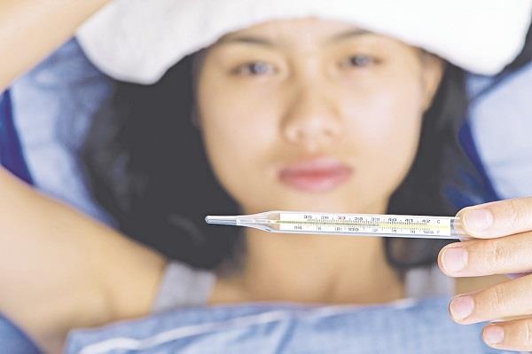 Loai vat nguy hiem nhat hanh tinh, moi nam lam chet mot trieu nguoi hinh anh