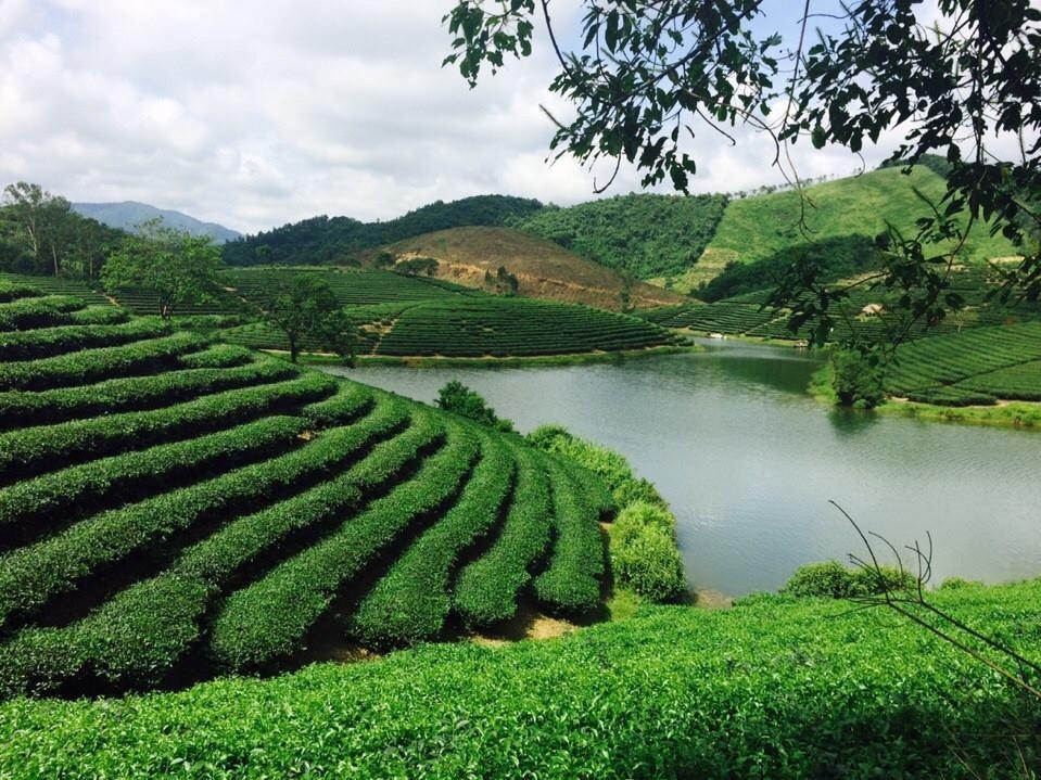 Huyện Tương Dương Nghệ An ảnh 1 Huyen Tuong Duong Nghe An anh 1