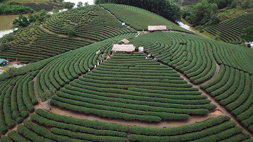 Huyen lon nhat Viet Nam, dien tich gap ba lan tinh Bac Ninh hinh anh