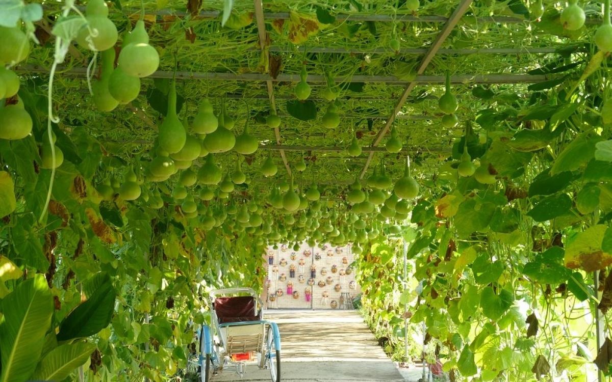 Huyện Châu Thành ảnh 1 Huyen Chau Thanh anh 1