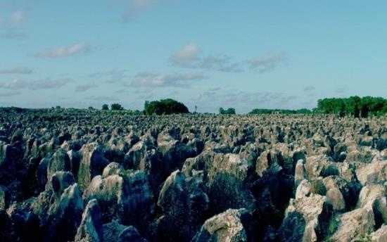 Nauru ảnh 3 Nauru anh 3