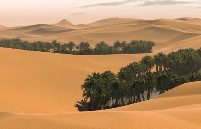 Saudi Arabia ảnh 4 Saudi Arabia anh 4