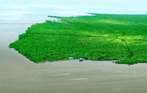 Bù Gia Mập ảnh 5 Bu Gia Map anh 5