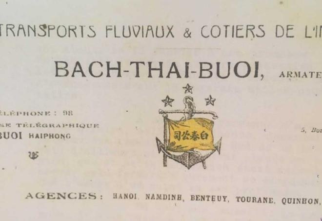 Bạch Thái Bưởi ảnh 5 Bach Thai Buoi anh 5