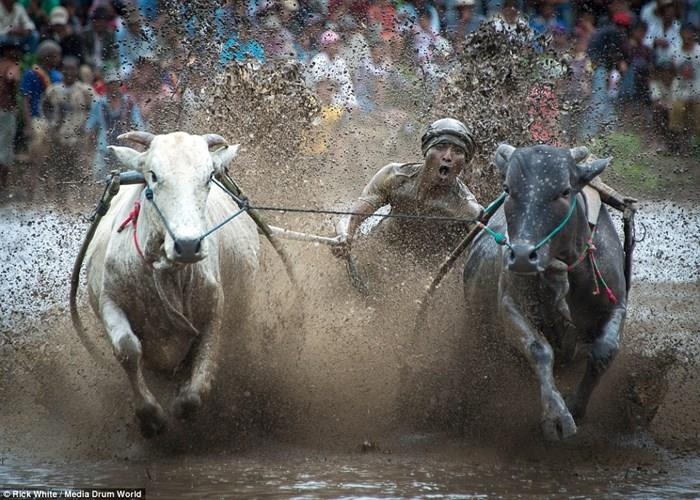 Đất nước Indonesia ảnh 3 Dat nuoc Indonesia anh 3