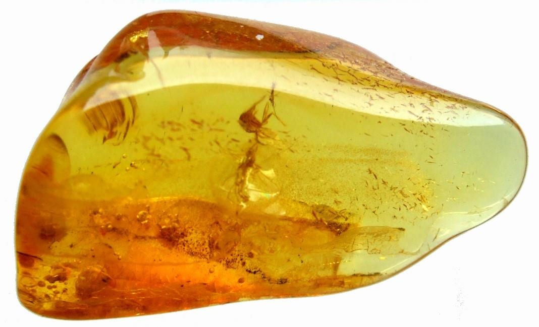 Hổ phách ảnh 2 Ho phach anh 2