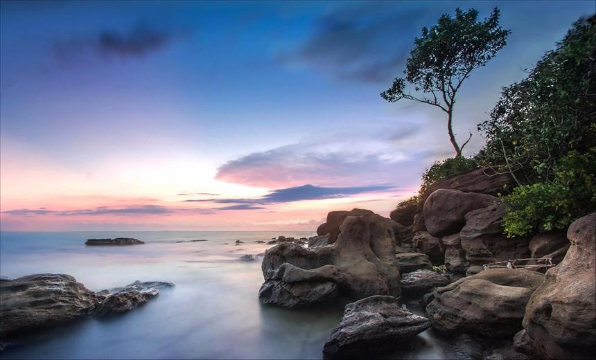 Rắn hổ mây ảnh 3 Ran ho may anh 3