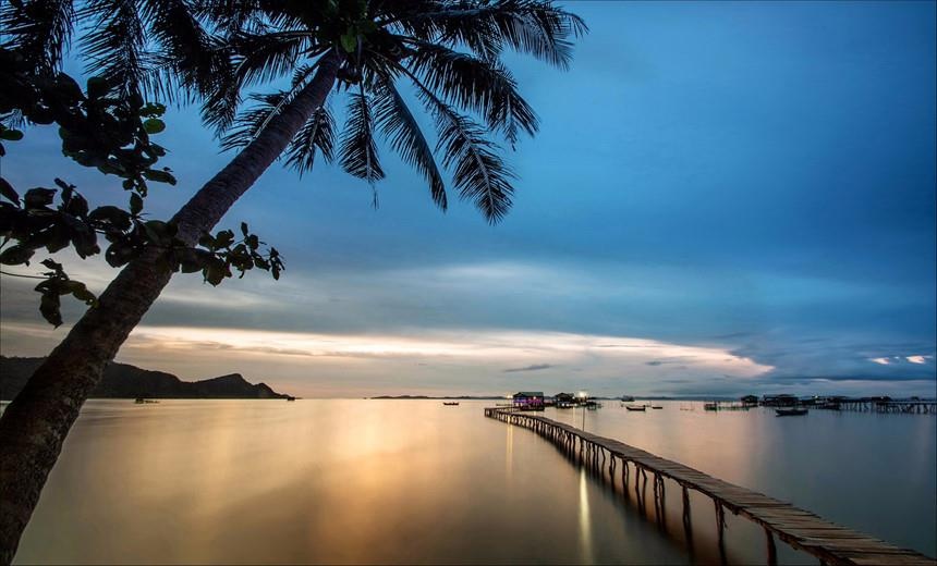 Rắn hổ mây ảnh 4 Ran ho may anh 4