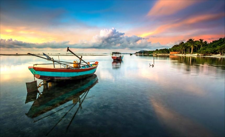 Rắn hổ mây ảnh 8 Ran ho may anh 8