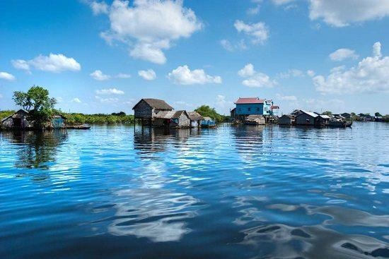 Cá hô khổng lồ ảnh 4 Ca ho khong lo anh 4