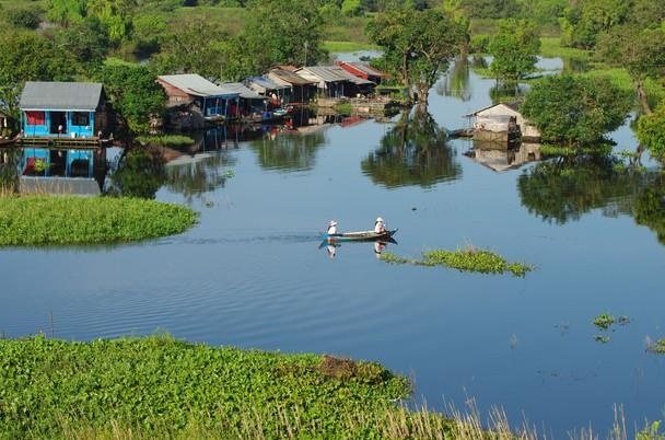 Cá hô khổng lồ ảnh 5 Ca ho khong lo anh 5