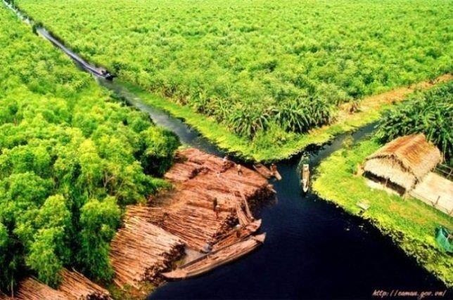 Bác Ba Phi ảnh 7 Bac Ba Phi anh 7