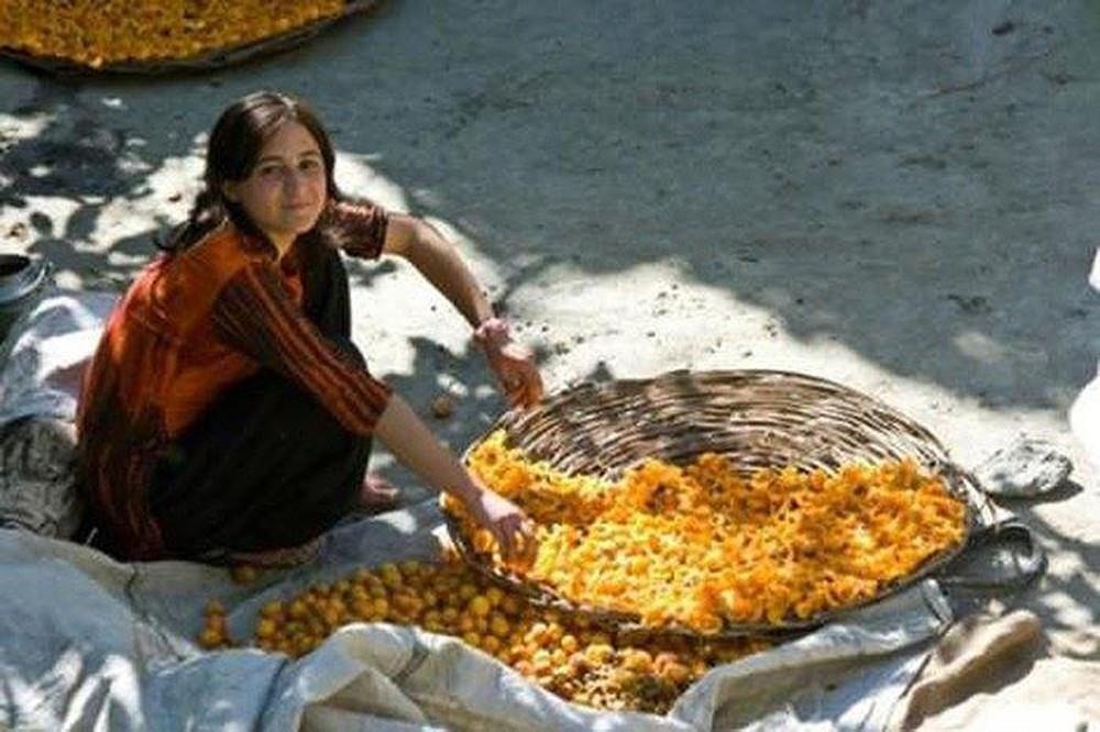 Người Hunzas ảnh 8 Nguoi Hunzas anh 8