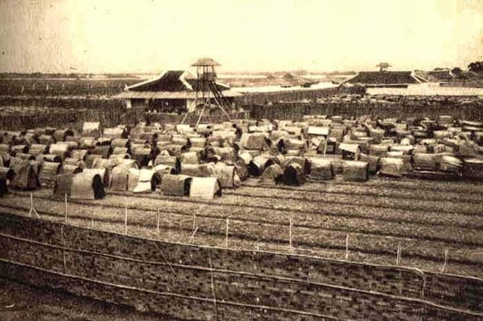 Gian lận khoa cử ảnh 3 Gian lan khoa cu anh 3