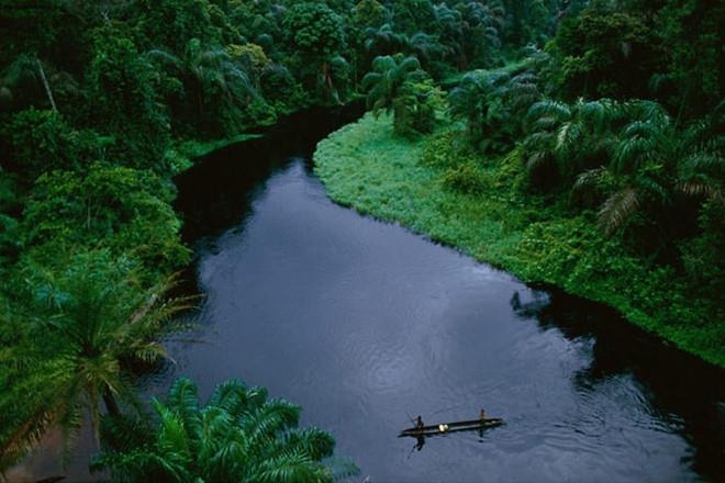 quái thú trên sông Congo ảnh 1 quai thu tren song Congo anh 1