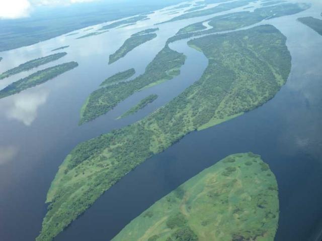 quái thú trên sông Congo ảnh 3 quai thu tren song Congo anh 3