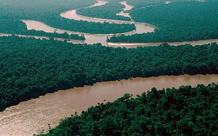 quái thú trên sông Congo ảnh 4 quai thu tren song Congo anh 4