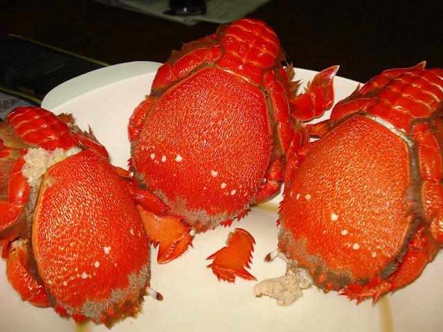 Thủy chiến Xích Bích ảnh 8 Thuy chien Xich Bich anh 8