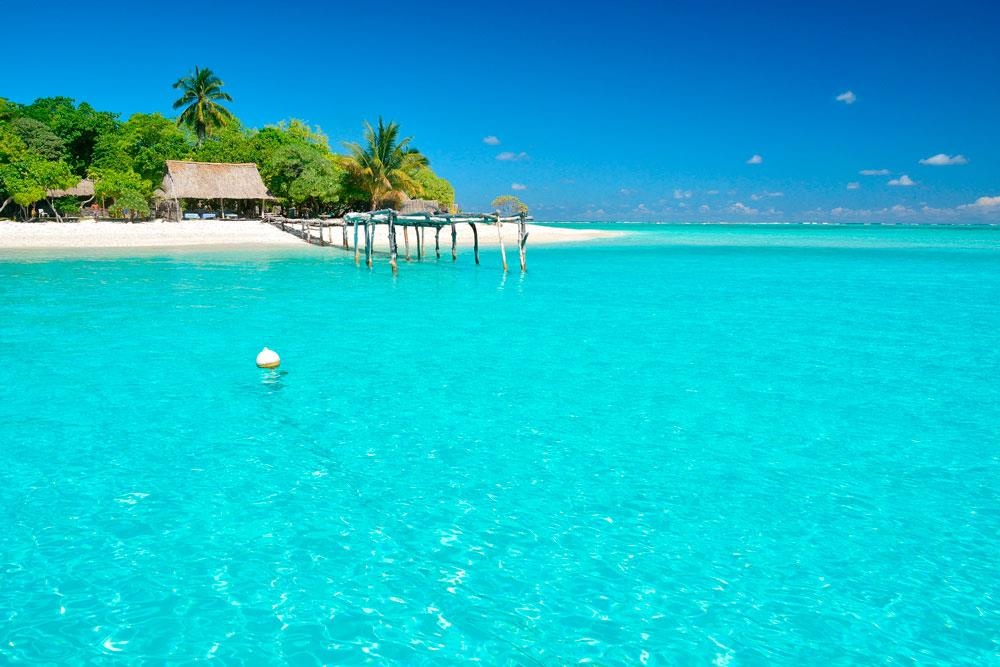 Ban Cau Trai Dat anh 2