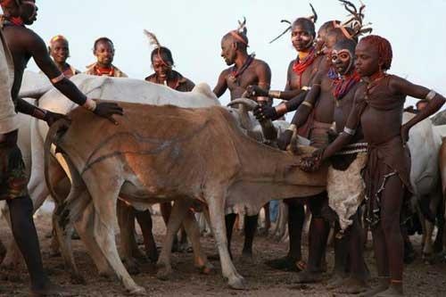 Nguoi Hamar anh 3