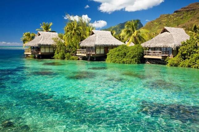 Đảo Phú Quốc ảnh 5 Dao Phu Quoc anh 5