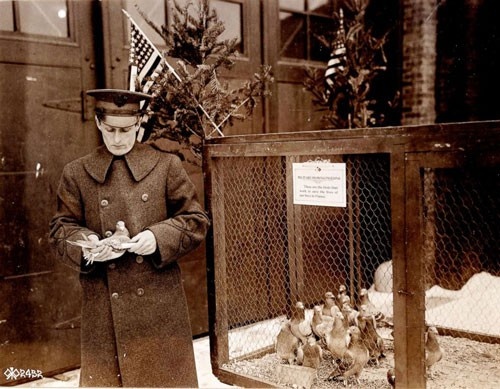 Nhung doi quan ky la anh 2