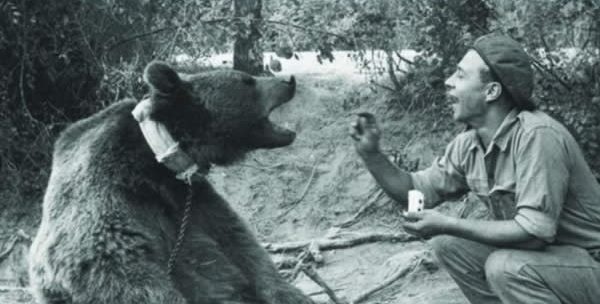 Chu gau Vojtek anh 6