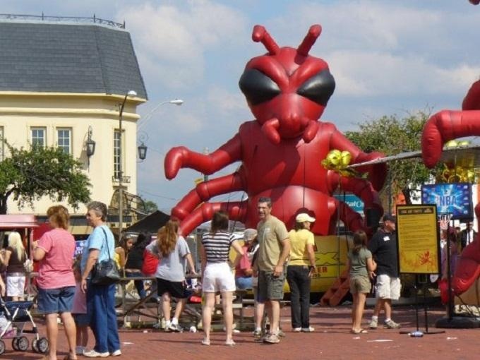 Le hoi nuoc My anh 5