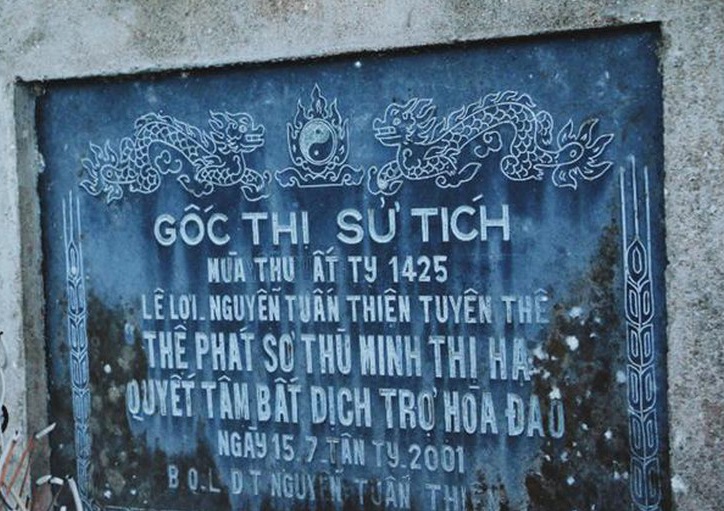 Cây thị di tích ảnh 1 Cay thi di tich anh 1